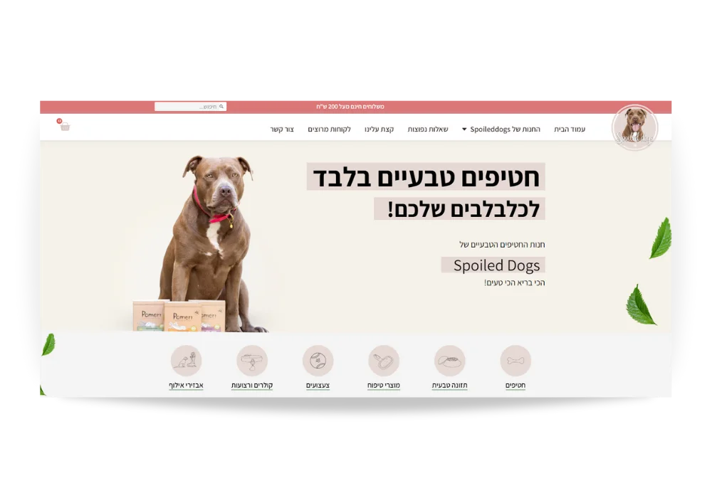 בניית אתר מכירות - חטיפים לכלבים