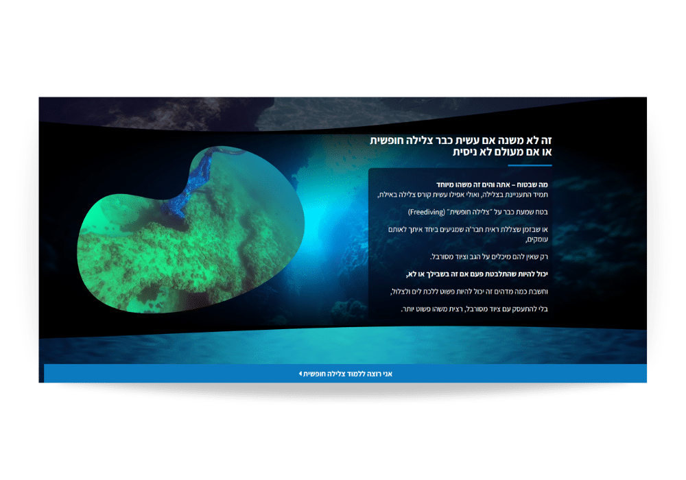בניית אתר - צלילה חופשית
