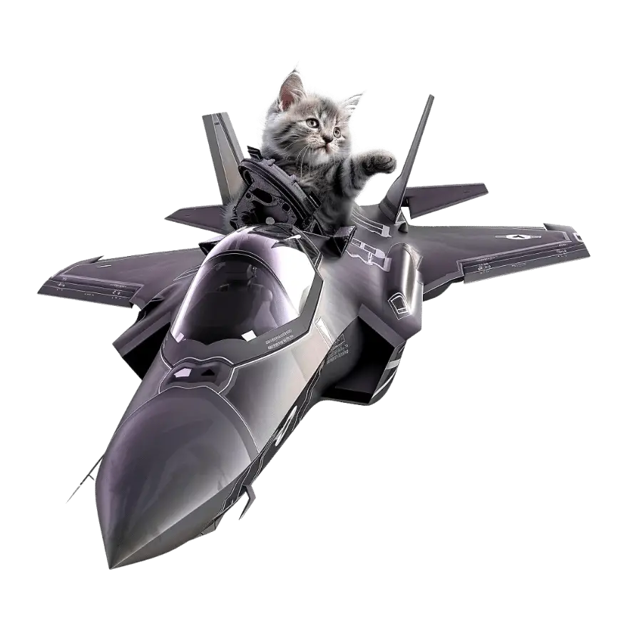 חתול על מטוס (1)