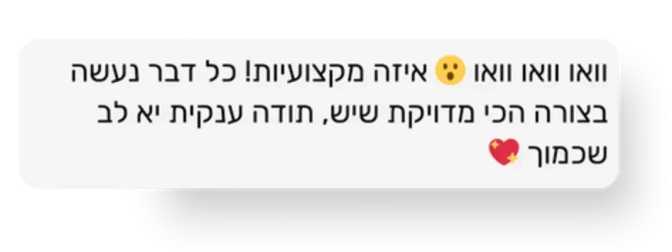 המלצות הדרה דיגיטל (2)