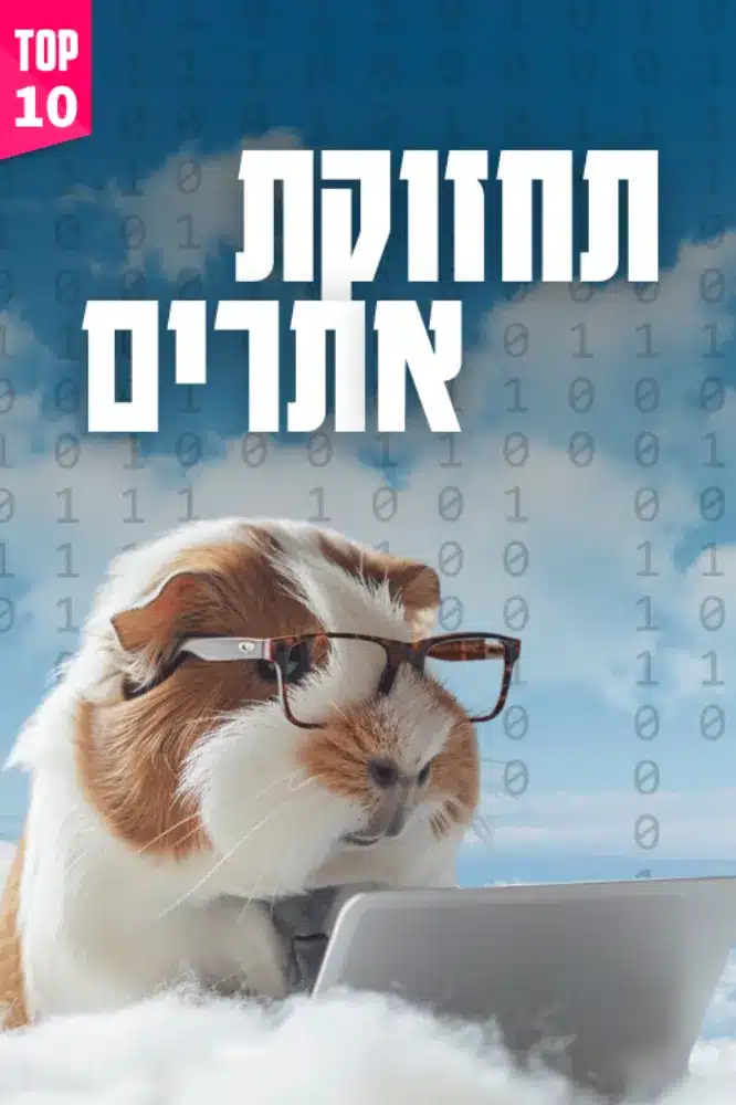 תחזוקת אתרים