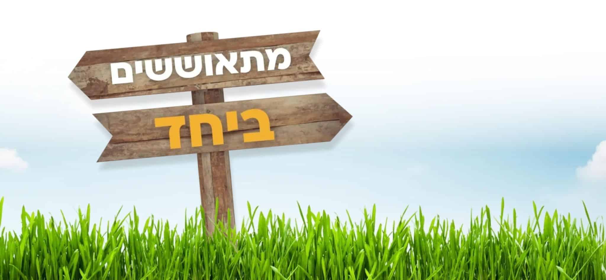 מאור שלמה דף נחיתה ותודה (1) min