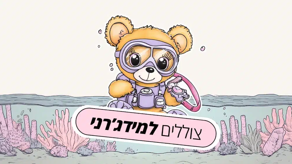 מודול 5