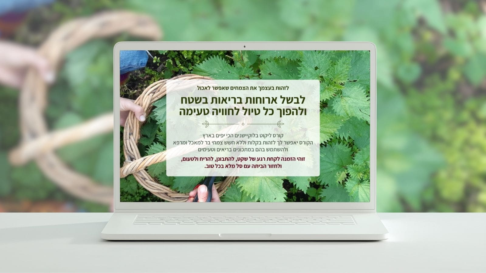 בניית דף נחיתה לקורס ליקוט