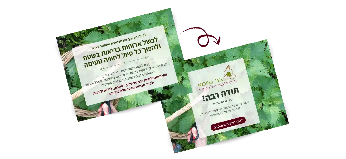 קורס ליקוט (1)