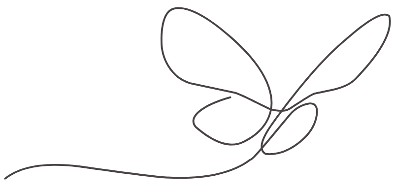 פרפר e1769945109629