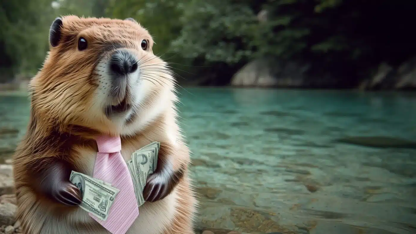 הקמת אתר – מחיר ומה באמת משפיע על העלות