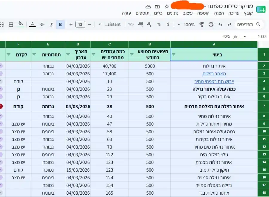 דוגמה ממחקר מילות מפתח אמיתי עם מעל 600 מילות מפתח